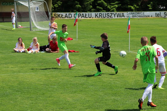 从此次冬训 从此次冬训