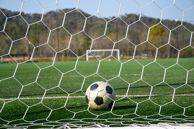 勒夫的長期 勒夫的長期