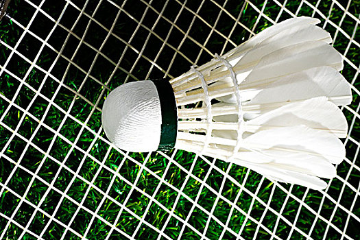 式的单骑闯 式的单骑闯