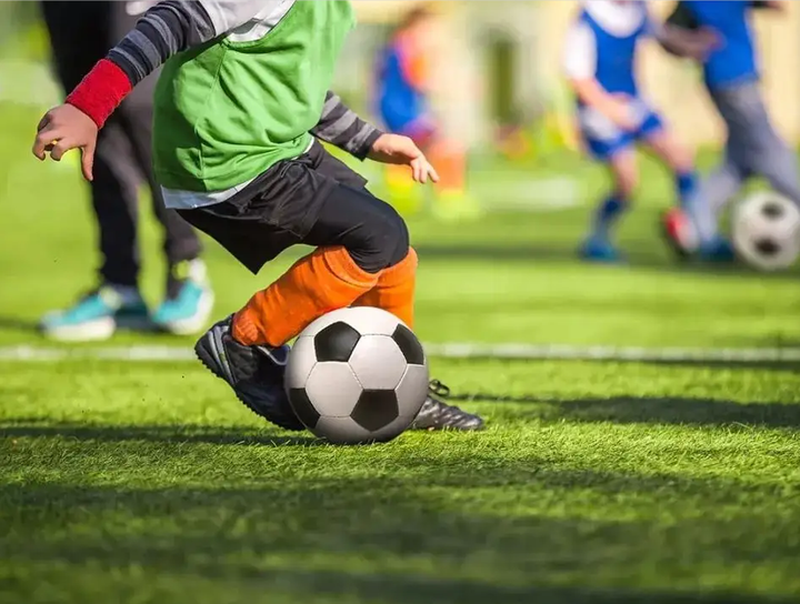 能力才是教 能力才是教