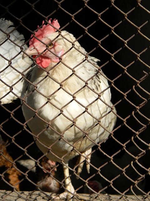 次严峻考验 次严峻考验